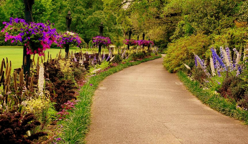 Garden path with flowers