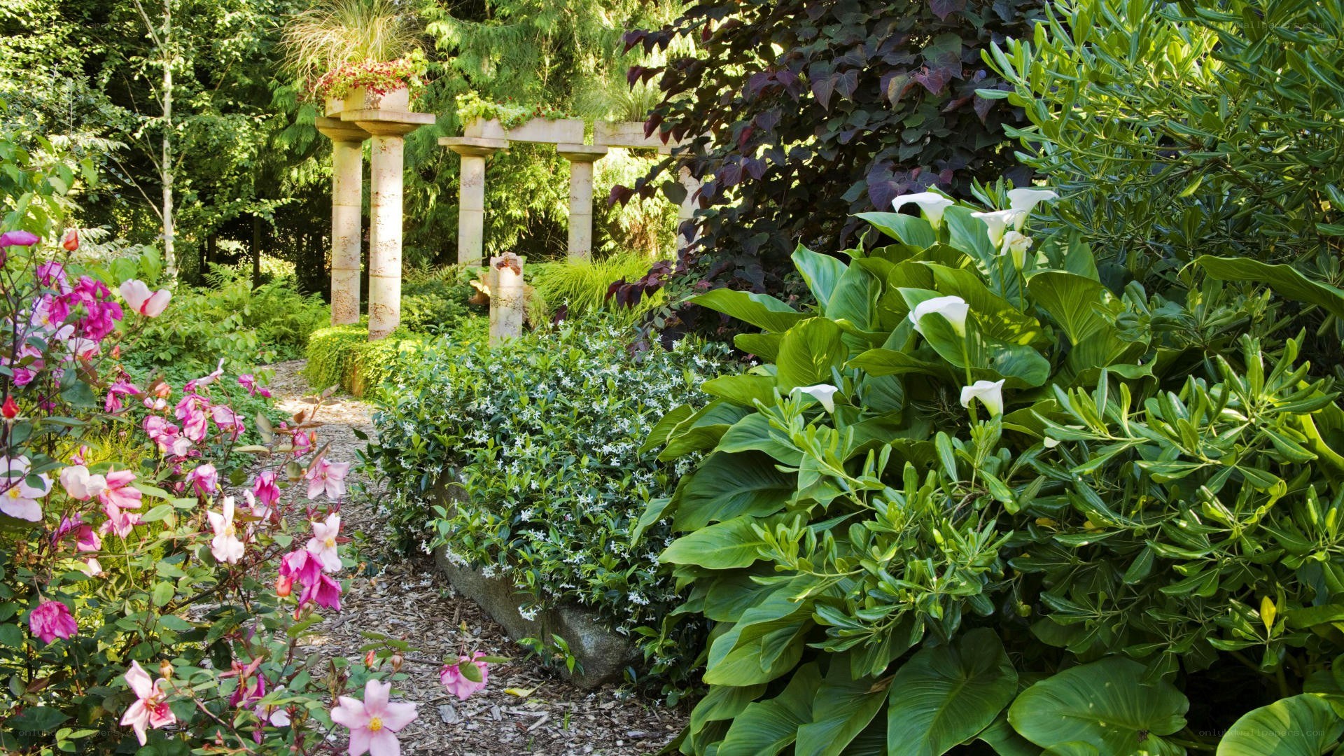 Garden path with flowers and columns