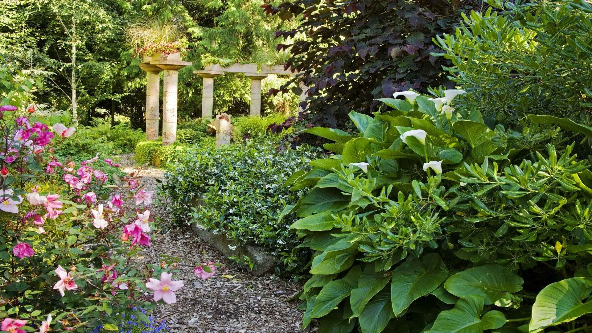 Garden path with flowers and columns