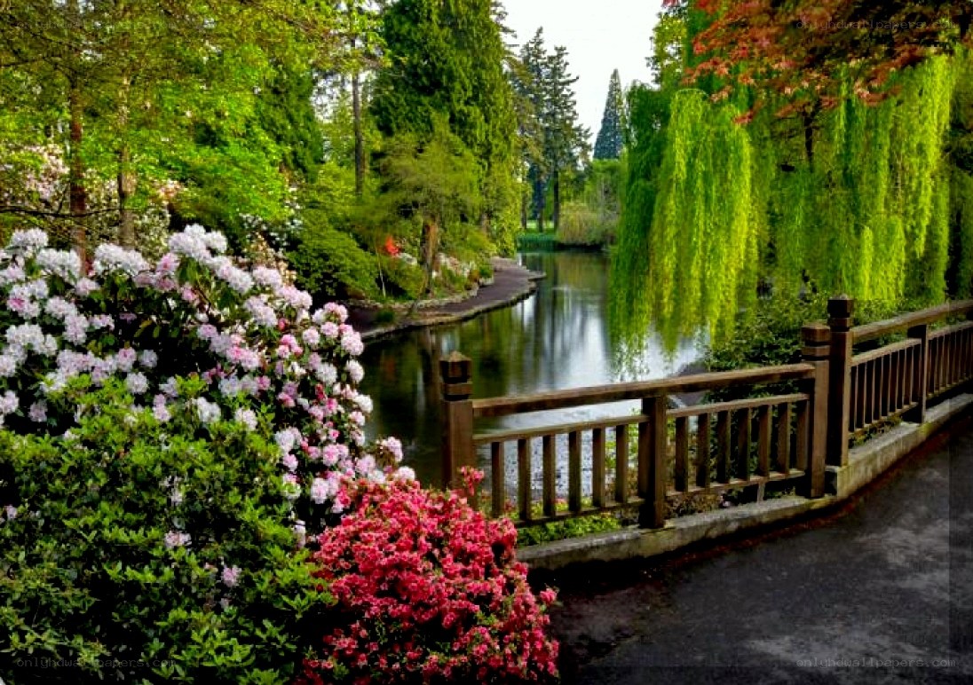 Garden path with flowers and pond