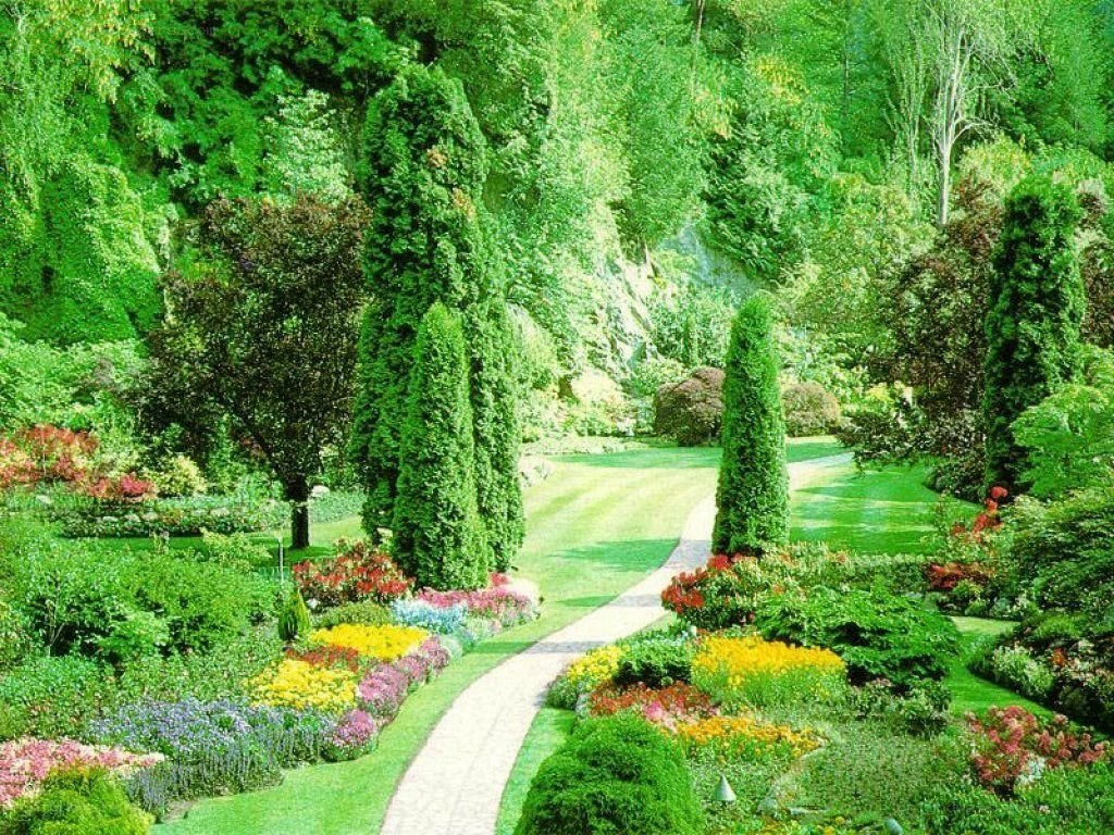 Garden path with flowers and trees