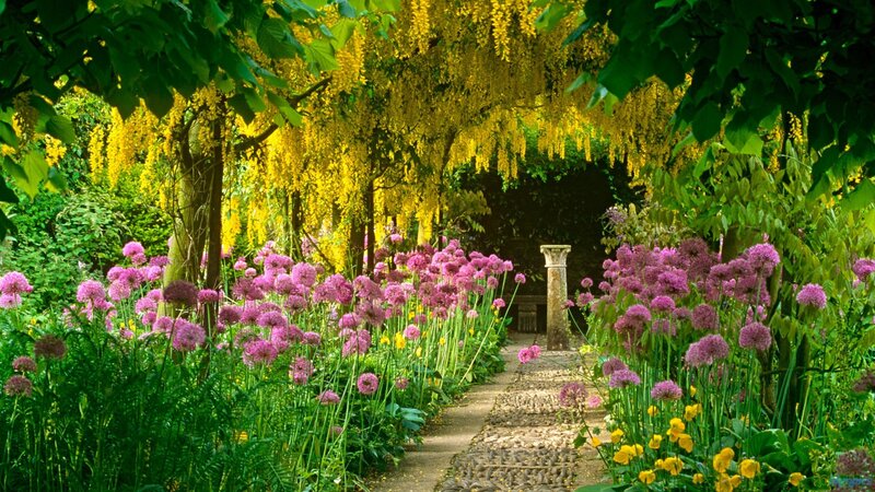 Garden Path with Flowers — Green, Serene, Afternoon, Photograph, Trees