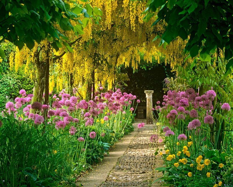 Garden Path with Flowers — Green, Serene, Spring, Photograph