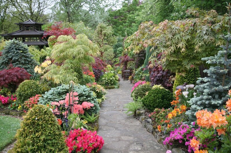 Garden Path with Flowers — Green, Serene, Spring, Photograph, Trees