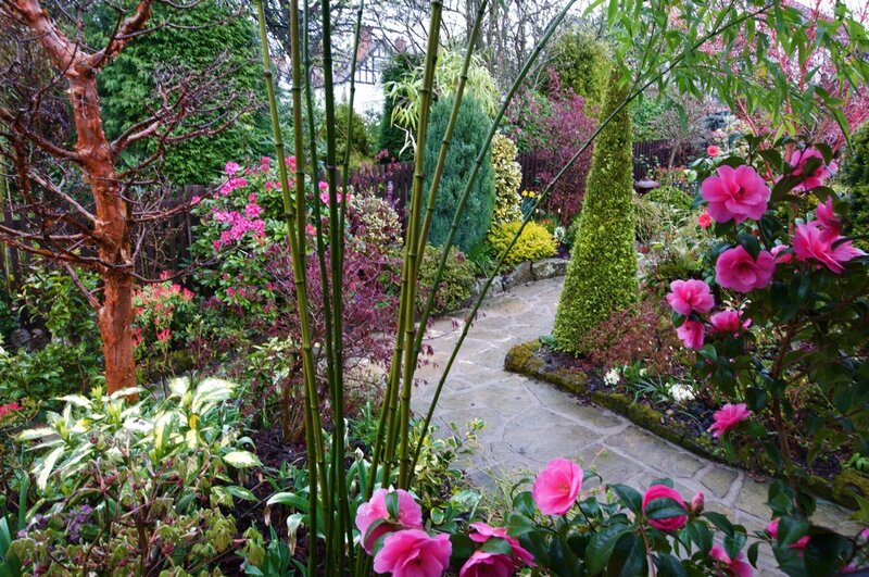 Garden Path with Flowers — Green, Serene, Spring