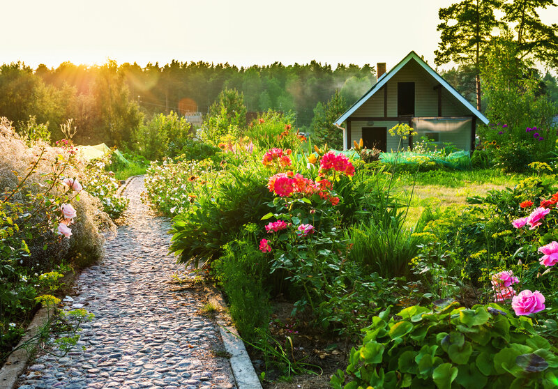 Garden Path with Flowers — Green, Serene, Sunset