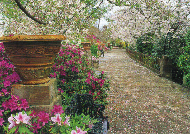Garden Path with Flowers — Pink