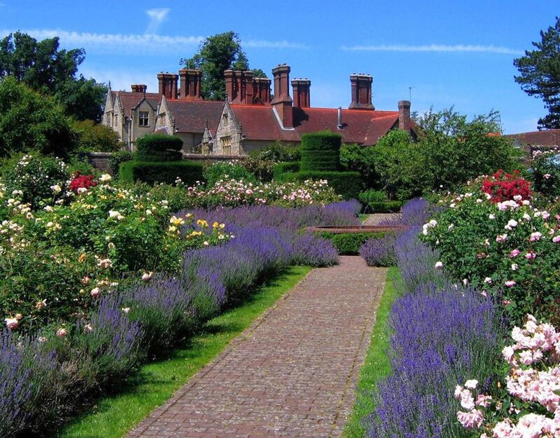 Garden Path with Flowers — Purple, Serene