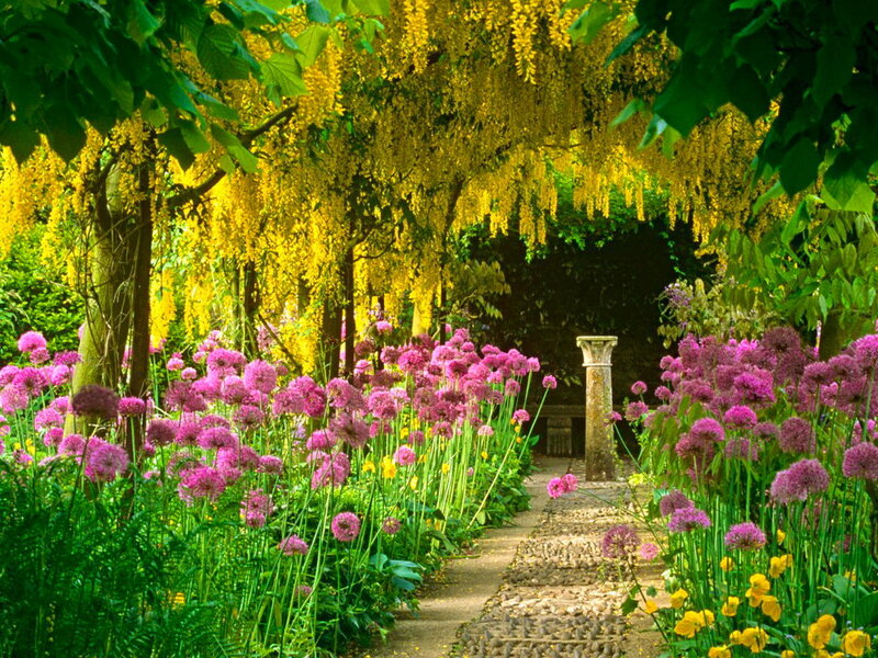 Garden Path with Flowers — Yellow