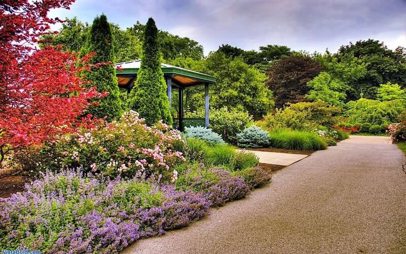 Garden Path with Gazebo — Green, Serene, Summer, Photograph
