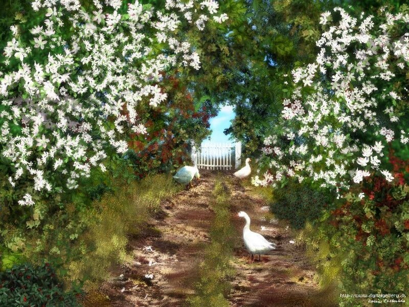 Garden path with geese