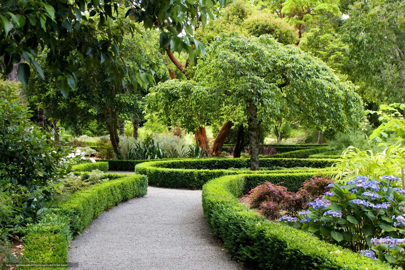 Garden path with hedges and flowers