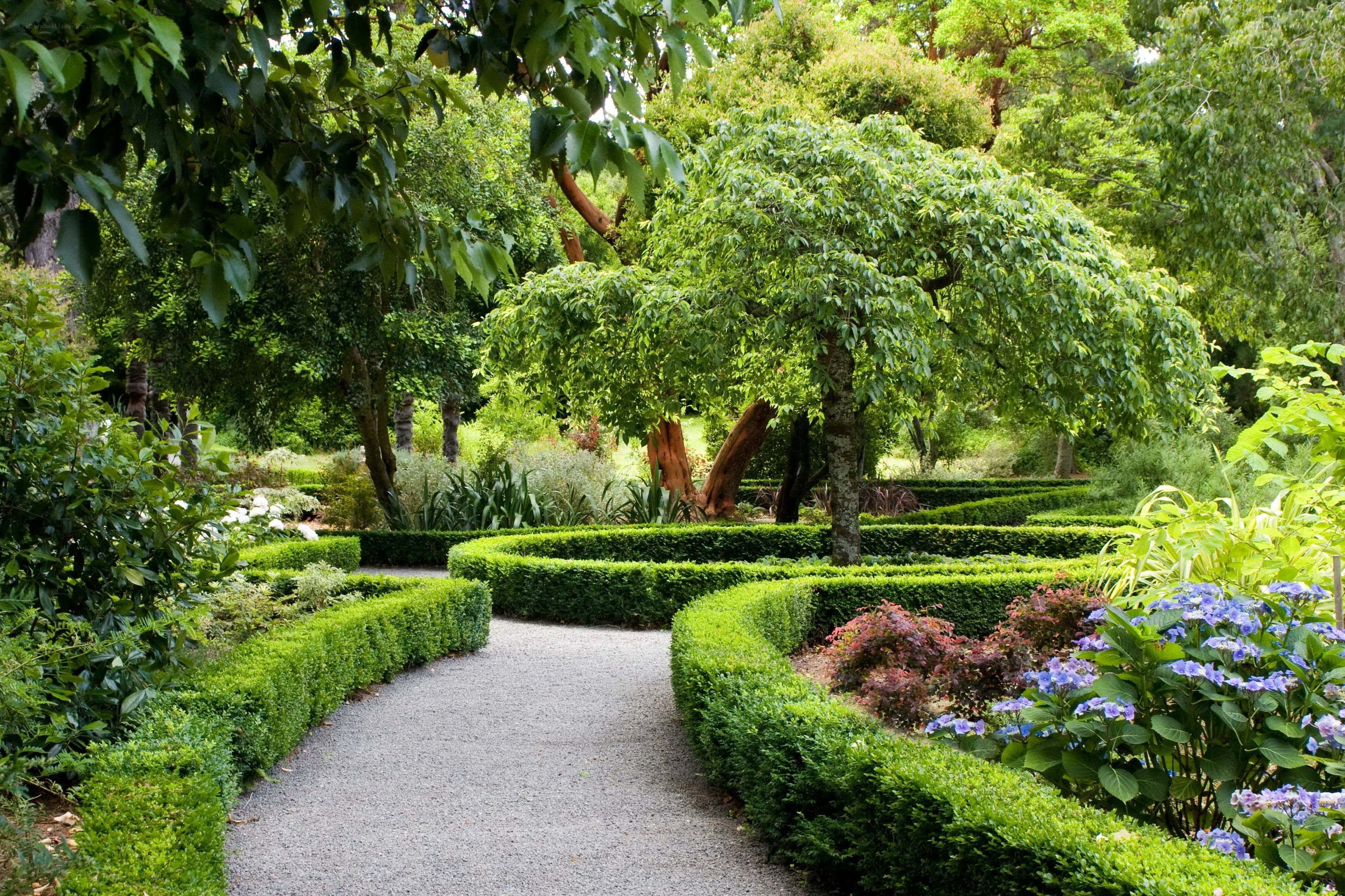 Garden path with hedges and flowers