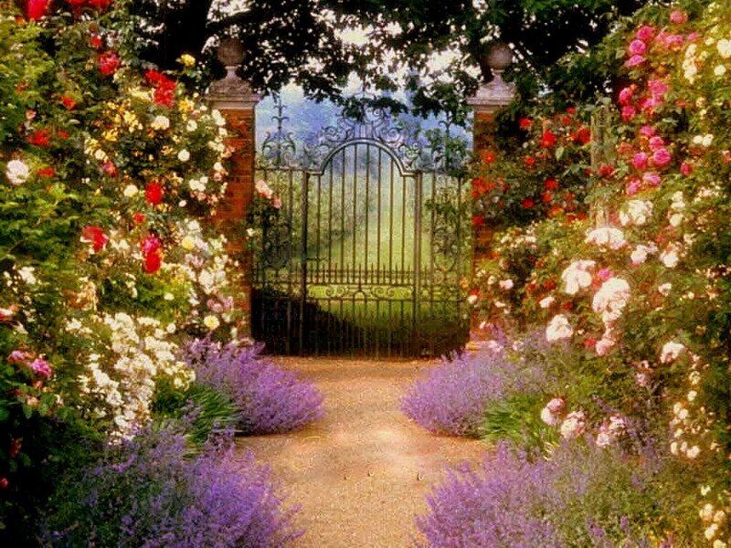 Garden path with iron gate