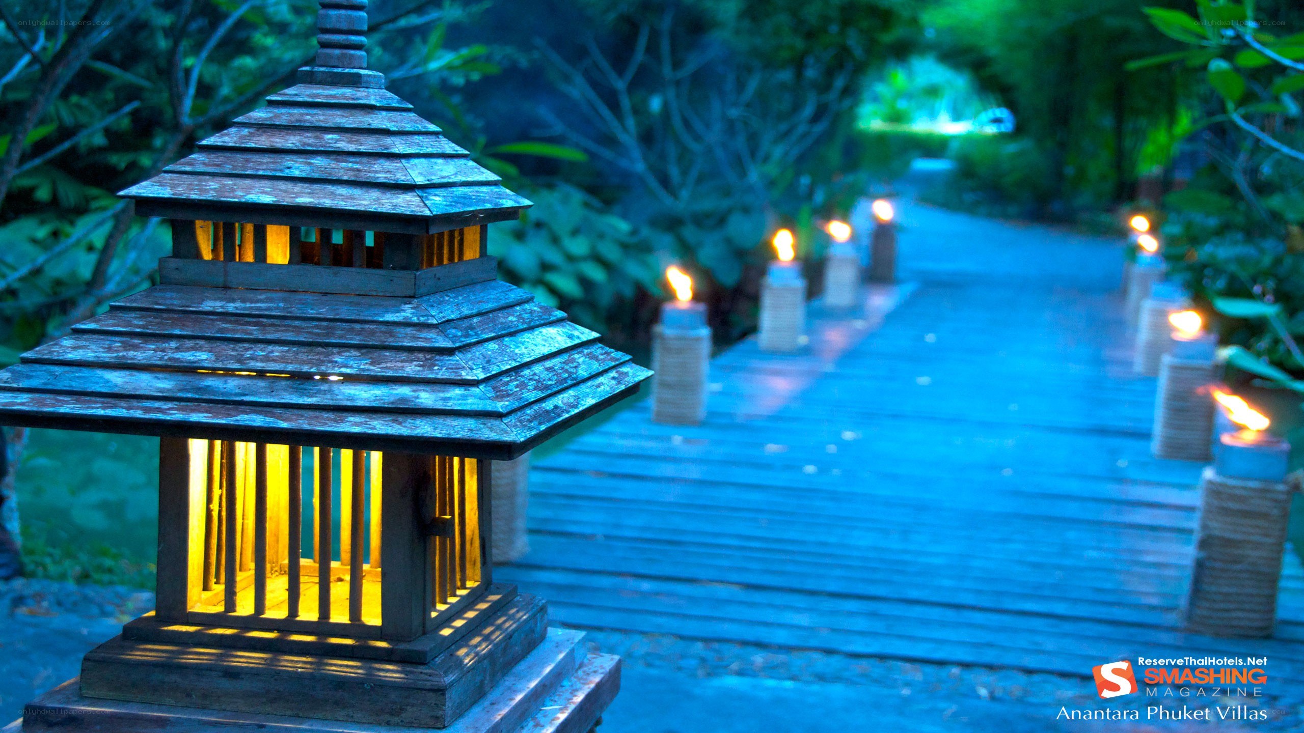 Garden path with lanterns