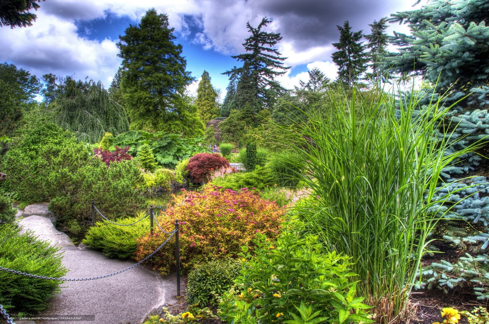 Garden path with lush greenery