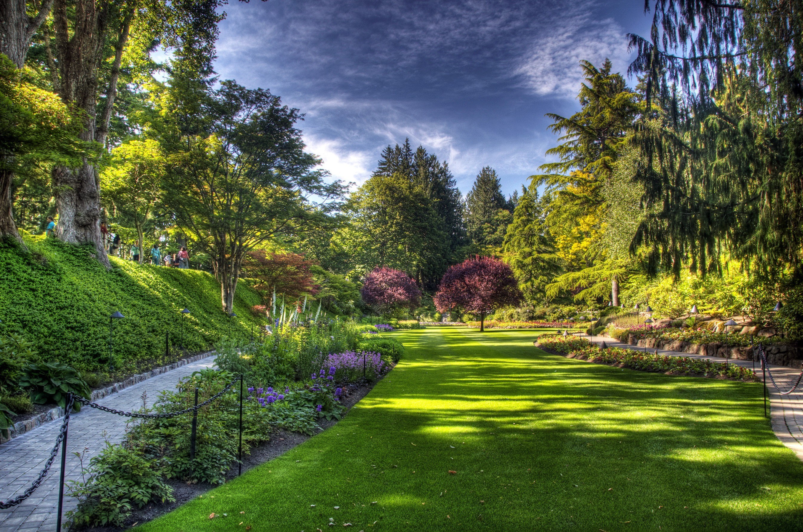 Garden path with lush greenery
