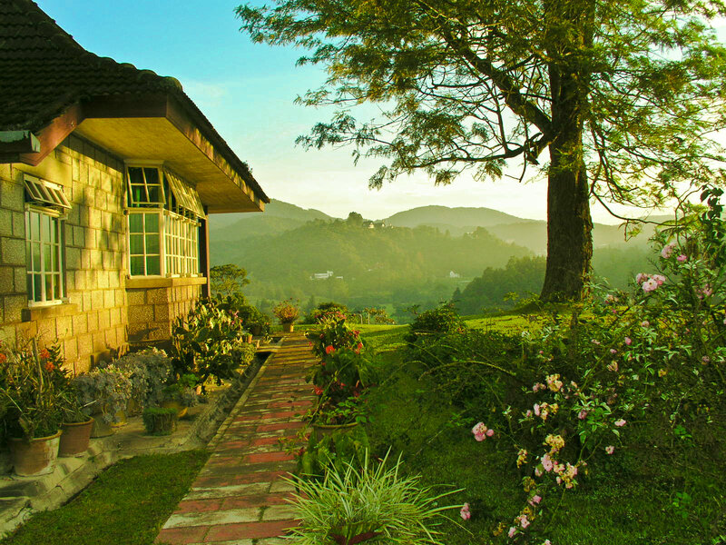 Garden path with mountain view