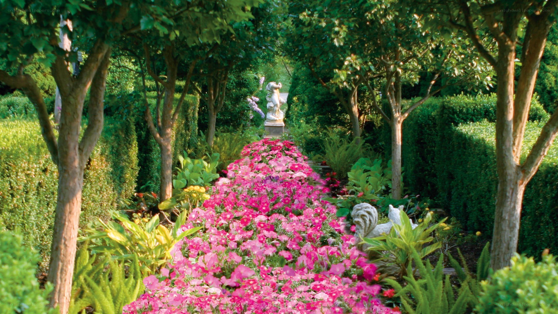 Garden path with pink flowers
