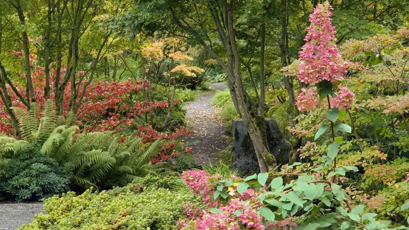 Garden path with pink flowers