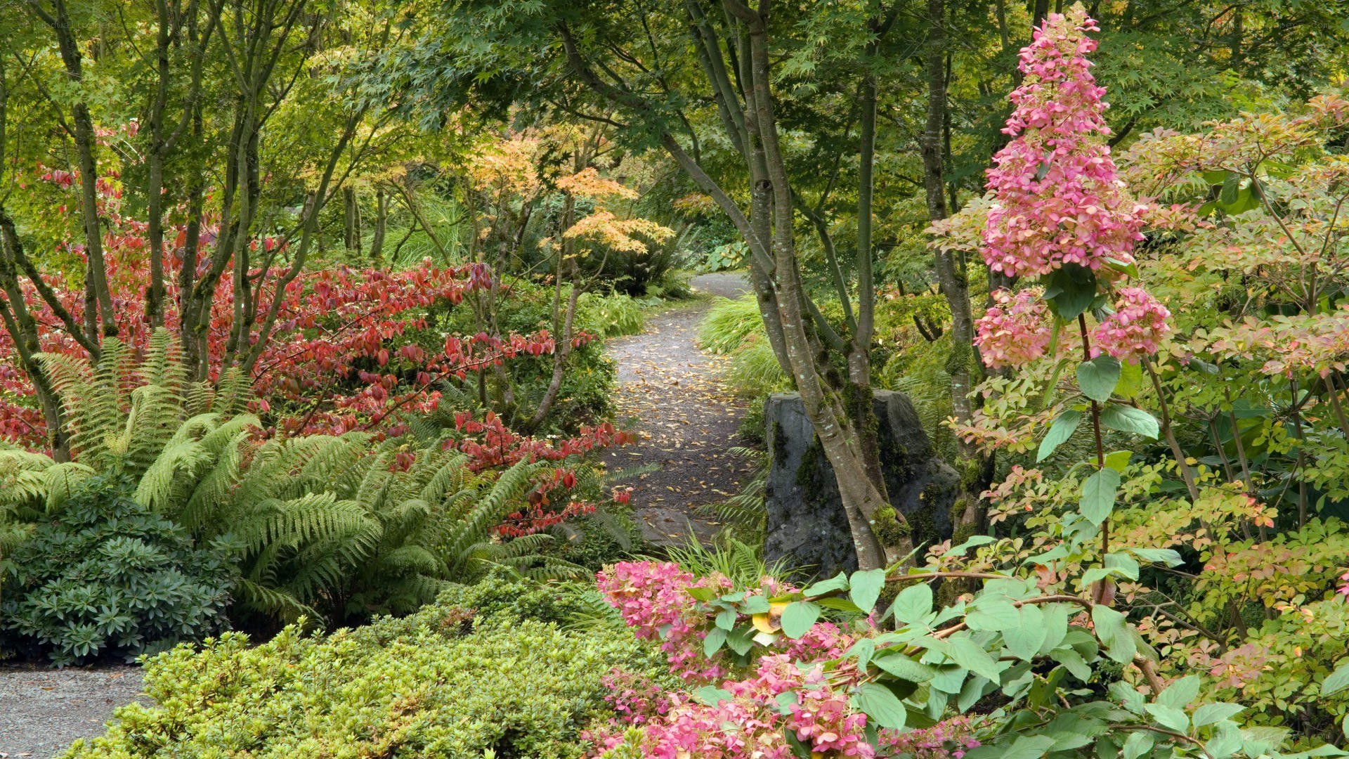 Garden path with pink flowers