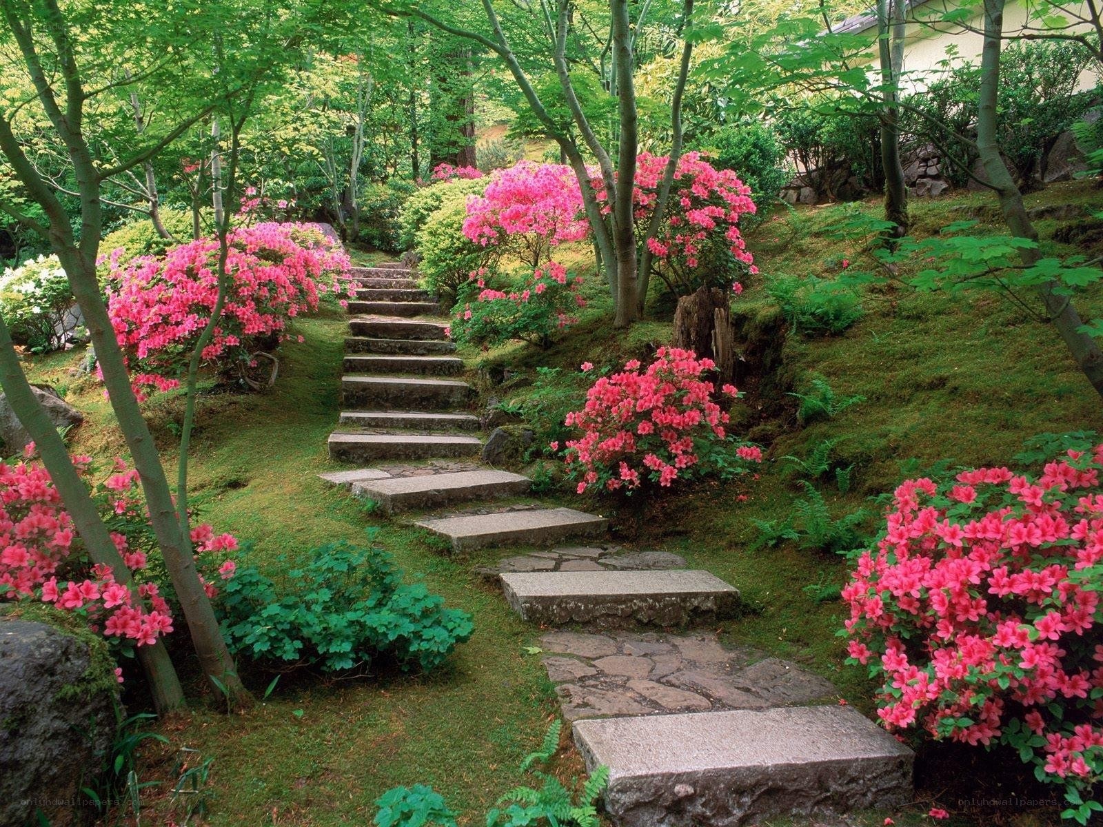 Garden path with pink flowers