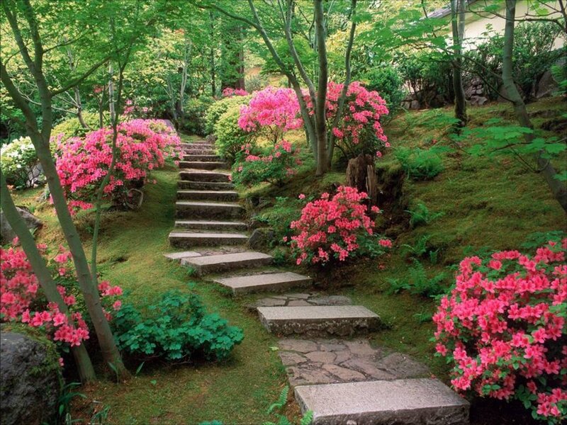 Garden path with pink flowers