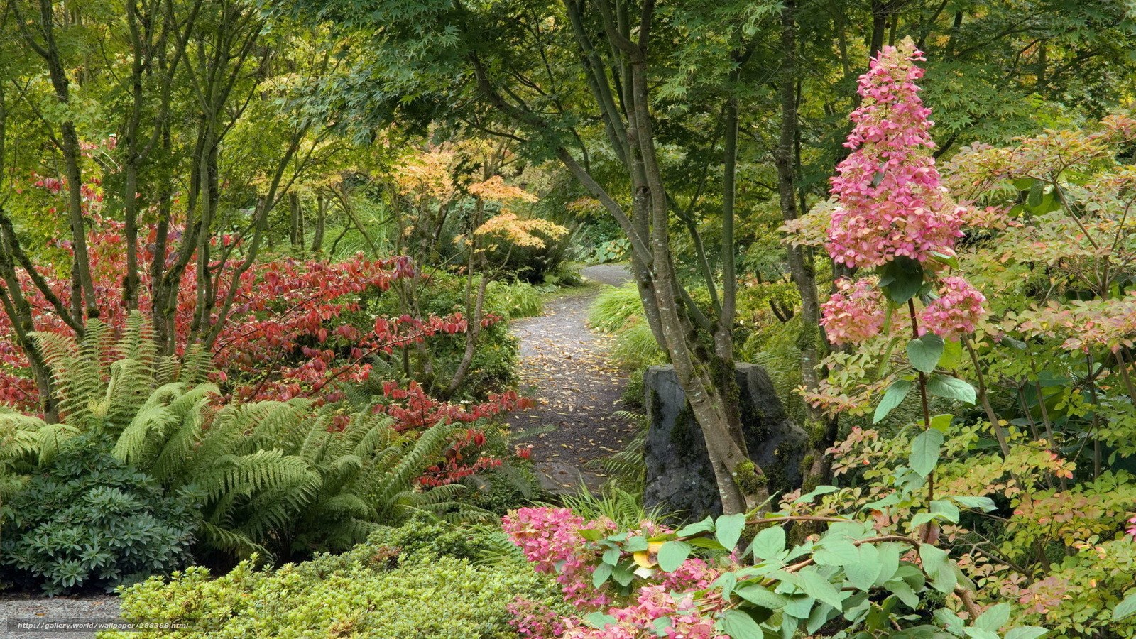 Garden path with pink flowers