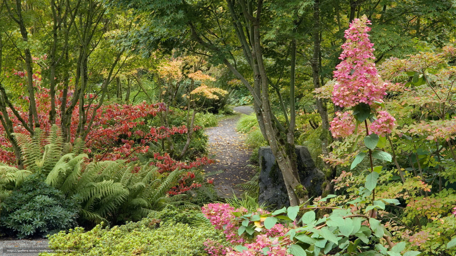 Garden path with pink flowers