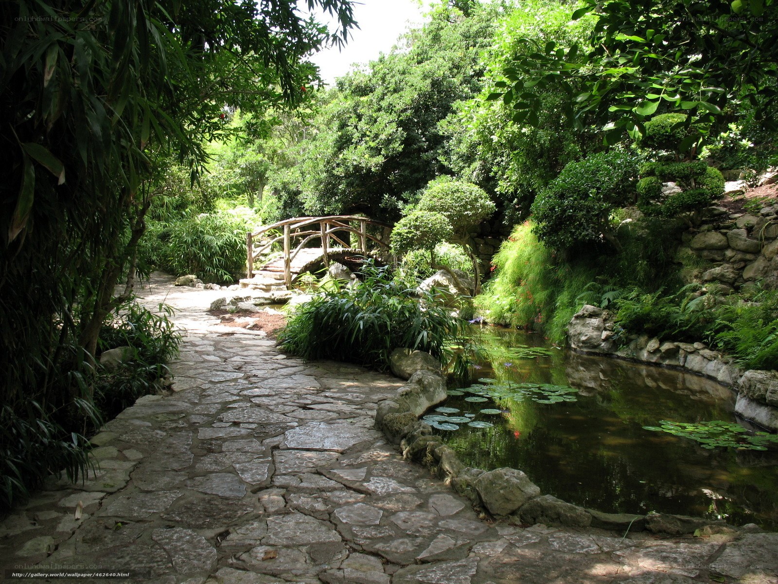 Garden path with pond and bridge