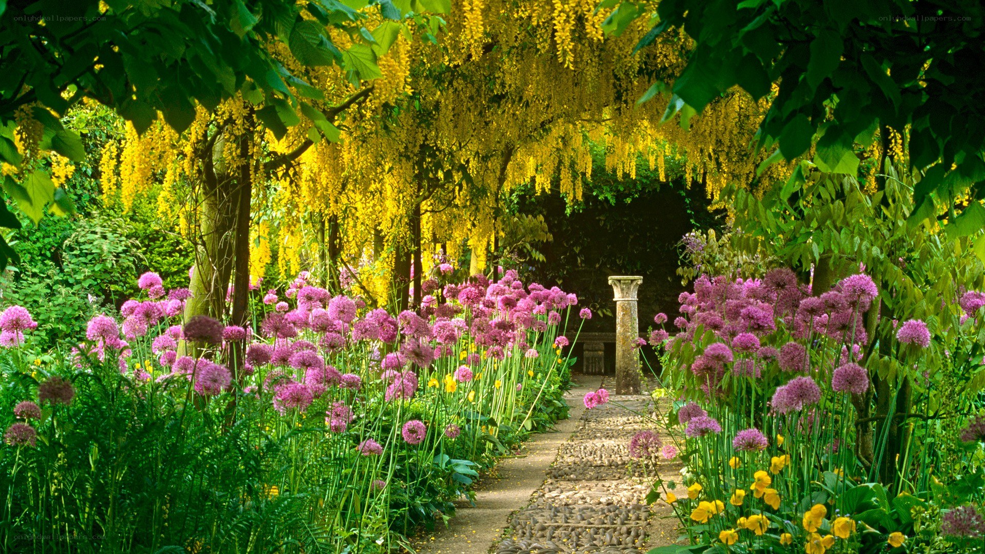 Garden path with purple flowers