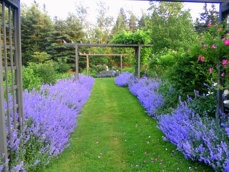 Garden Path with Purple Flowers — Green