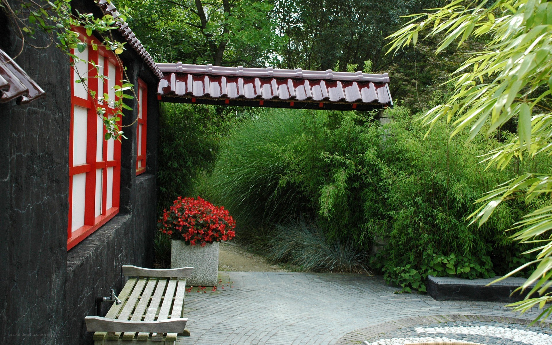 Garden path with red window