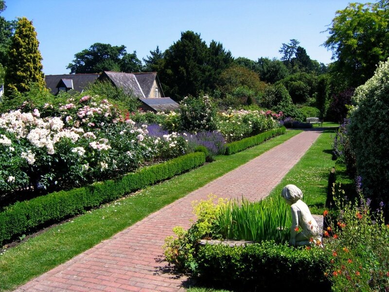 Garden path with rose beds