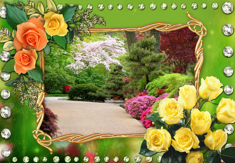 Garden Path with Roses
