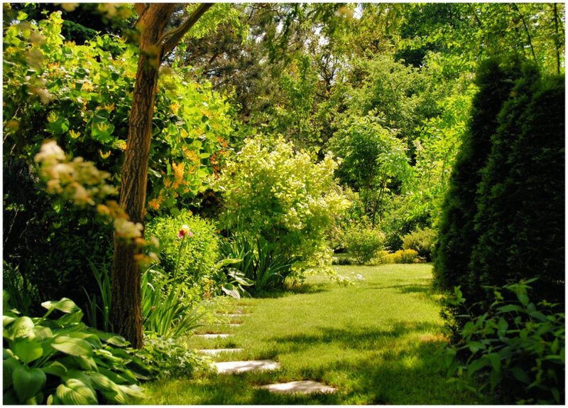 Garden Path with Stepping Stones