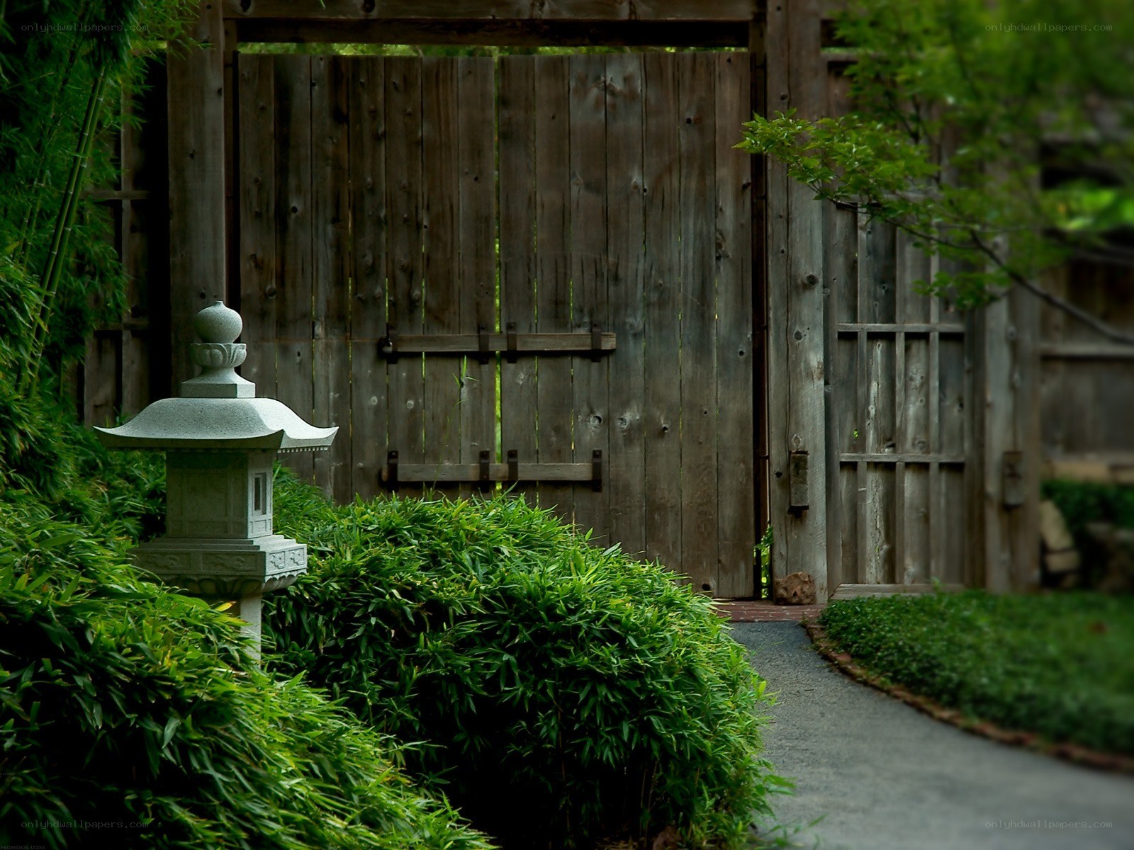 Garden path with stone lantern