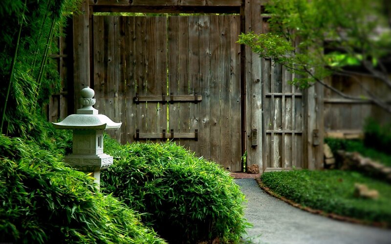 Garden path with stone lantern