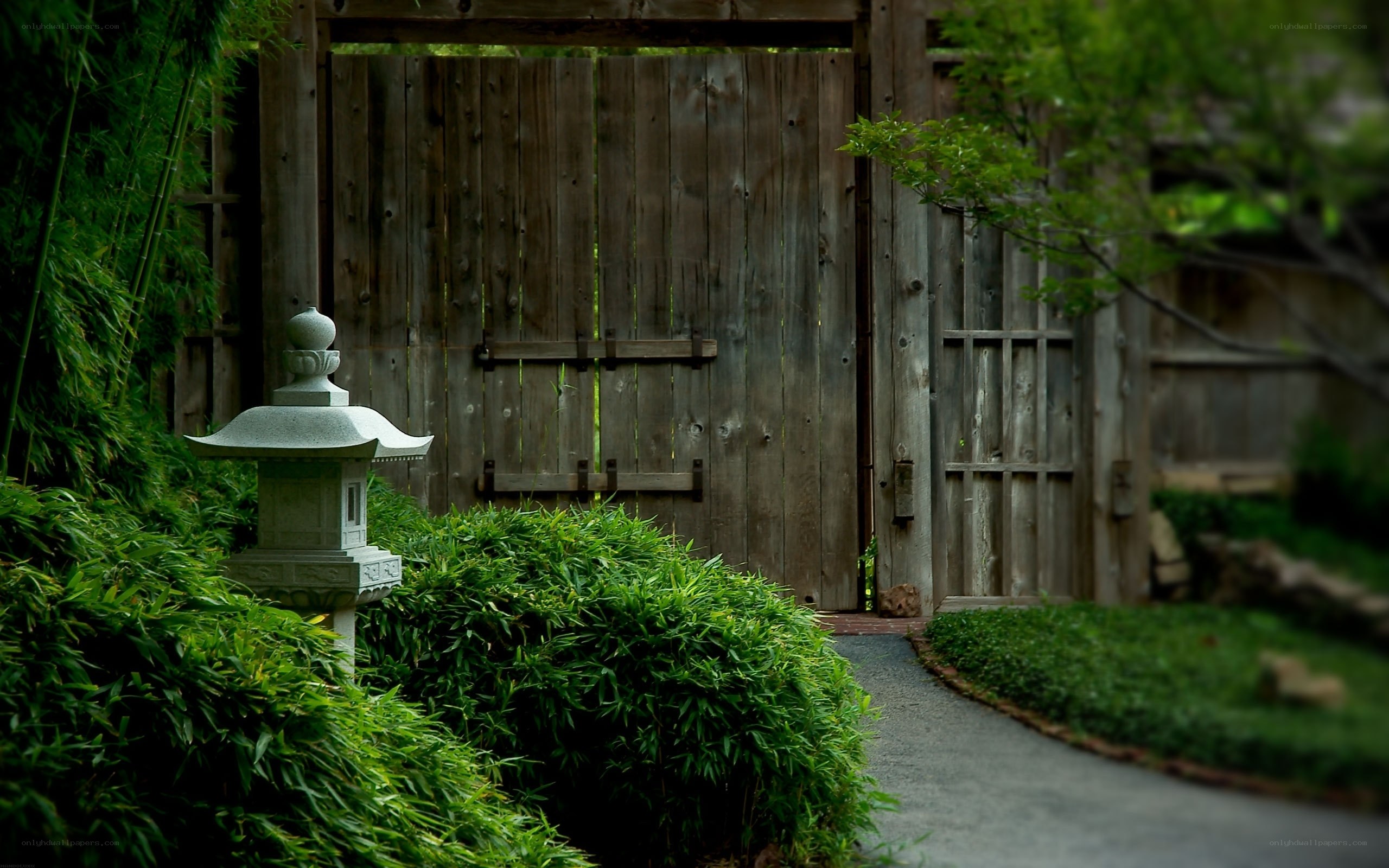Garden path with stone lantern