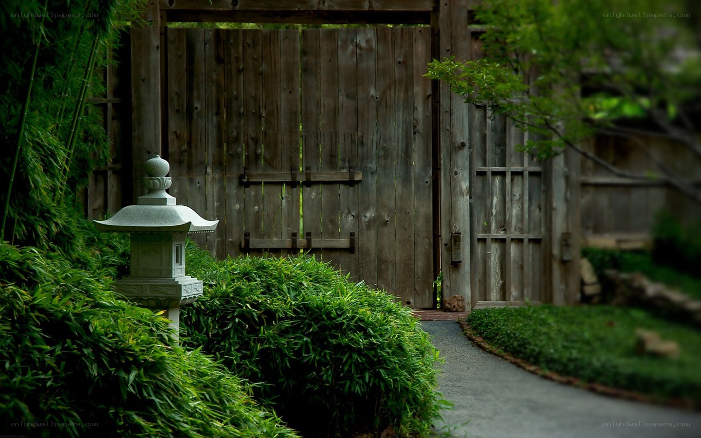 Garden path with stone lantern
