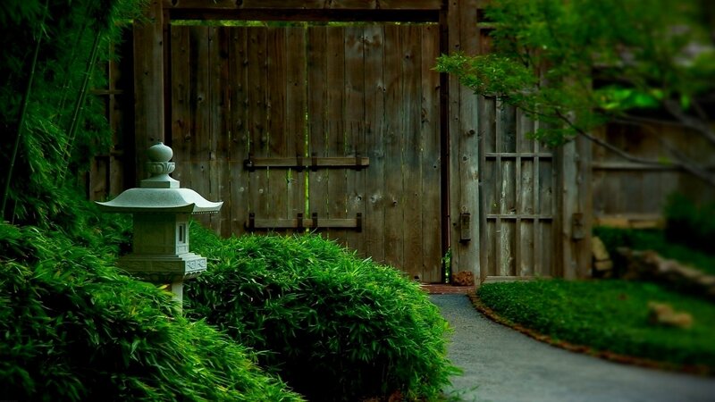 Garden path with stone lantern