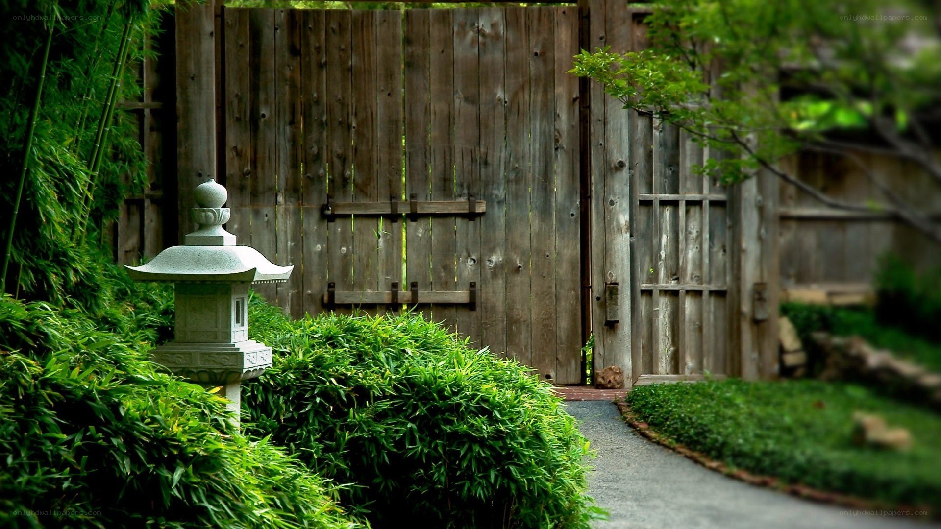 Garden path with stone lantern