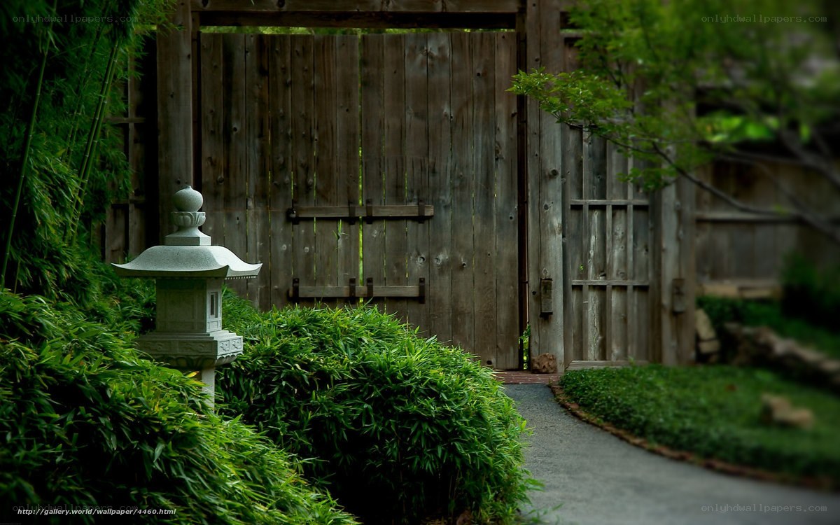 Garden path with stone lantern