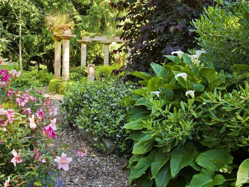 Garden path with white flowers