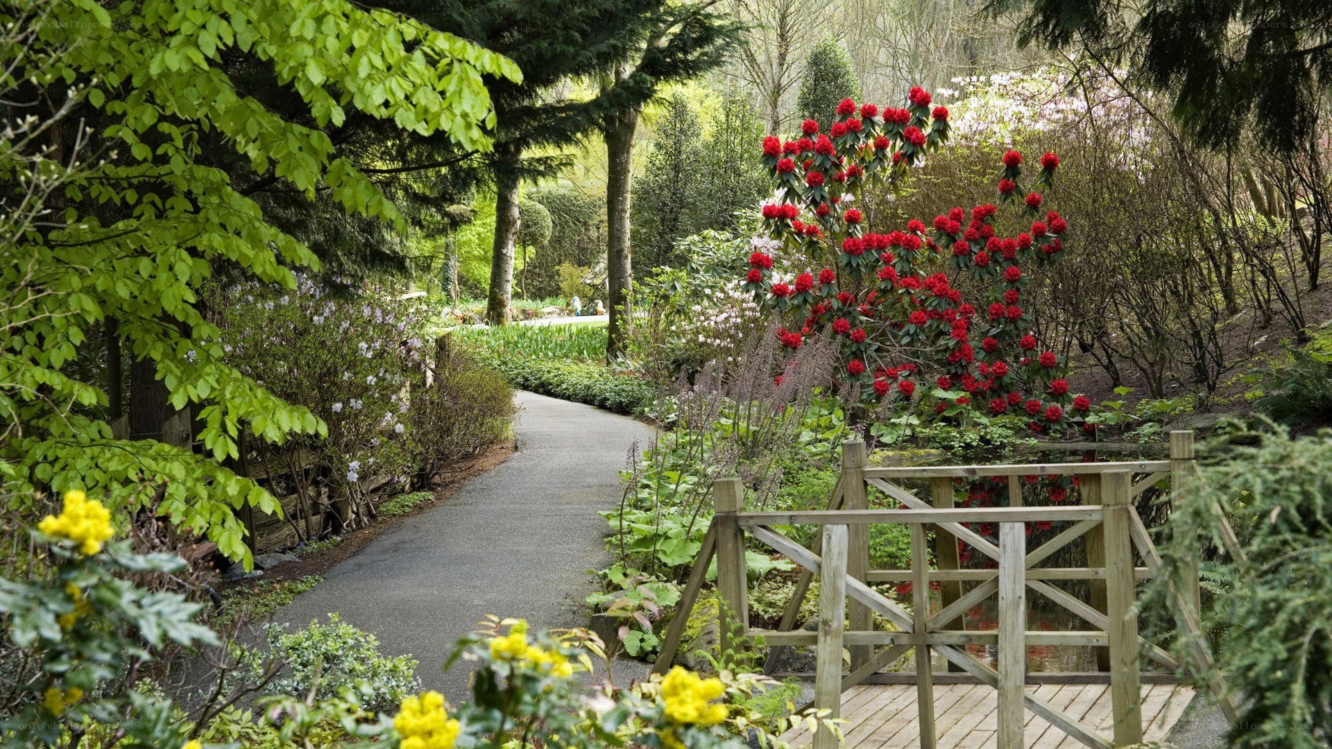 Garden path with wooden bridge