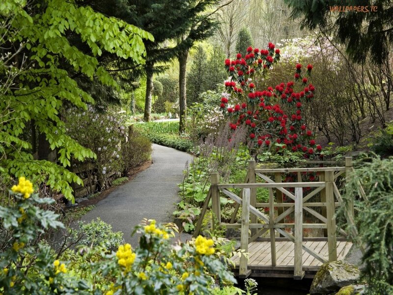 Garden path with wooden bridge