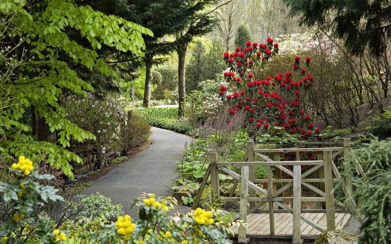 Garden path with wooden bridge