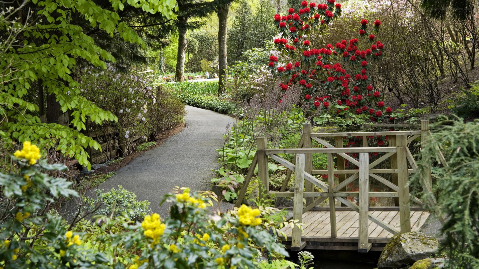 Garden path with wooden bridge