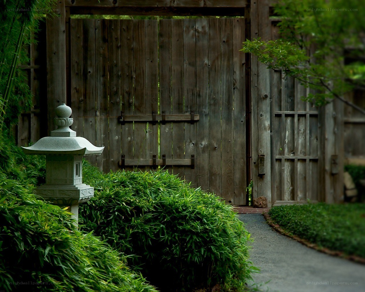 Garden path with wooden gate