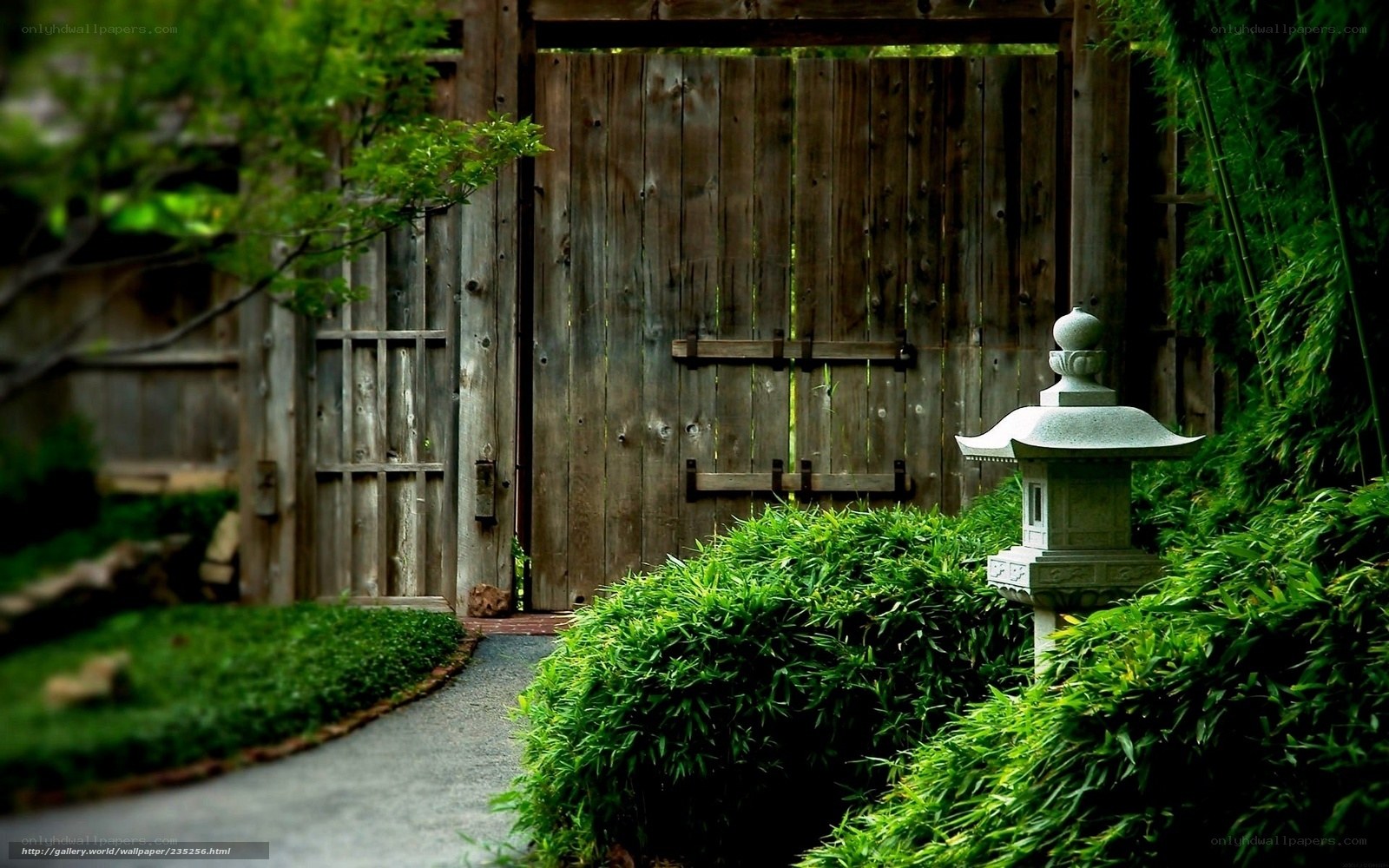 Garden path with wooden gate